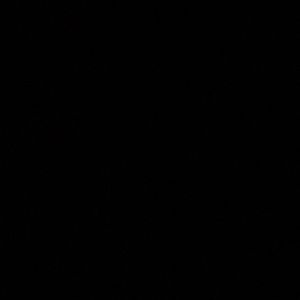 Meet your Posher, Estefani